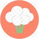 Brassicaceae Vegetable Cauliflower Icon
