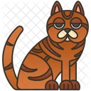 Braune Katze  Symbol