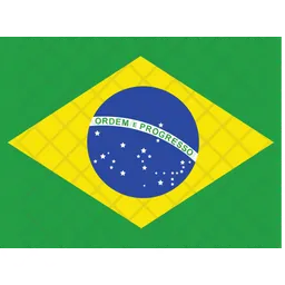 Brazil Flag Icon
