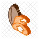 Brazil Nut  Icon