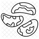 Brazil Seeds Nut Selenium Icon