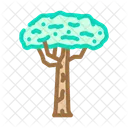 Brazil Nut Tree Icon