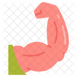 Brazo  Icono