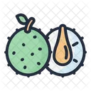 Breadfruit Fruit Food Icon