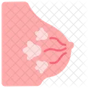 Breast  Icon
