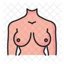 Breast Female Body Part Icon