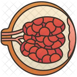 Breast  Icon