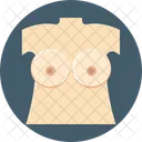 Breast Boobs Icon Boobs Vector Icon