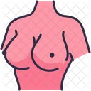 Breast Augmentation  Icon