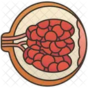 Breast  Icon