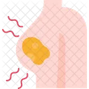 Breast  Icon