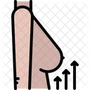Breast Lift Up  Icon