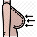 Breast Reducation  Icon