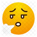 Slice Icon
