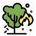 Brennender Baum  Symbol