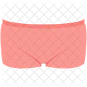 Briefs  Icon
