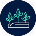 Bright plantation  Icon