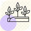 Bright plantation  Icon