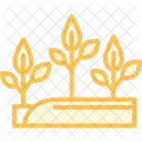 Bright Plantation Bright Plantation Icon