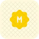 Brightness Manual Manual Camera Manual Icon
