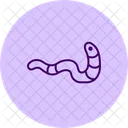 Bristle worm  Icon