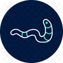 Bristle Worm Bristle Worm Icon