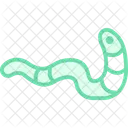 Bristle Worm Bristle Worm Icon