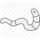 Bristle Worm Bristle Worm Icon