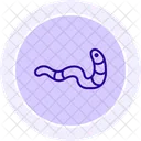 Bristle Worm Bristle Worm Icon