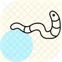 Bristle Worm Bristle Worm Icon