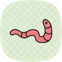 Bristle Worm Bristle Worm Icon