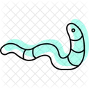 Bristle Worm Bristle Worm Icon