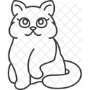 British Cat  Icon