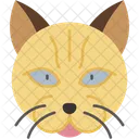 British Longhair Cat Fluffy Round Face Icon