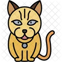 British Longhair Cat Fluffy Round Face Icon