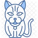 British Longhair Cat Fluffy Round Face Icon