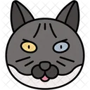 British Shorthair Cat Round Face Plush Coat Icon