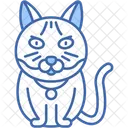 British Shorthair Cat Round Face Plush Coat Icon
