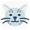 British Shorthair Cat  Icon