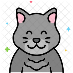 British Shorthair Cat  Icon