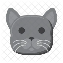 British Shorthair Cat  Icon