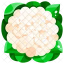 Broccoflower  Icon