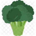 Broccoli Veggies Food Icon