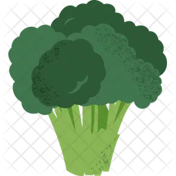 Broccoli  Icon