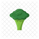 Broccoli Broccolis Broccoli Vegetable Icon
