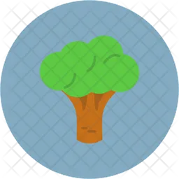 Broccoli  Icon