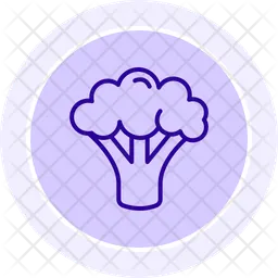 Broccoli  Icon