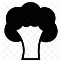 Broccoli  Icon