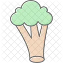 Broccoli  Icon