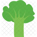 Broccoli Healthy Food Organic Icon
